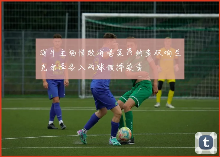 海牛主场惜败海港莱昂纳多双响兰克尔泽各入两球假摔染黄