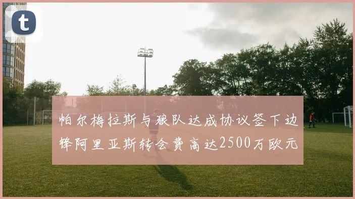 帕尔梅拉斯与狼队达成协议签下边锋阿里亚斯转会费高达2500万欧元