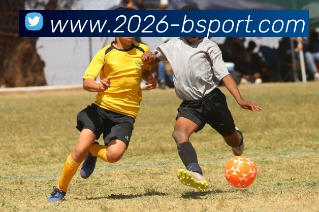 B体育APP 封面图